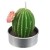 Świeczka Tealight - Kaktus z Kwiatkiem